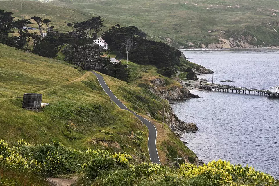 Road to Point Reyes